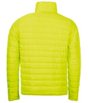 01193 Neon Lime Back