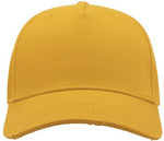 CARGO WEATHERED VISOR 5 PANEL CAP ADULT